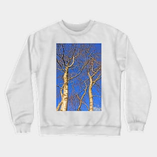 Silver Birch, Turbary Common, March 2021 Crewneck Sweatshirt